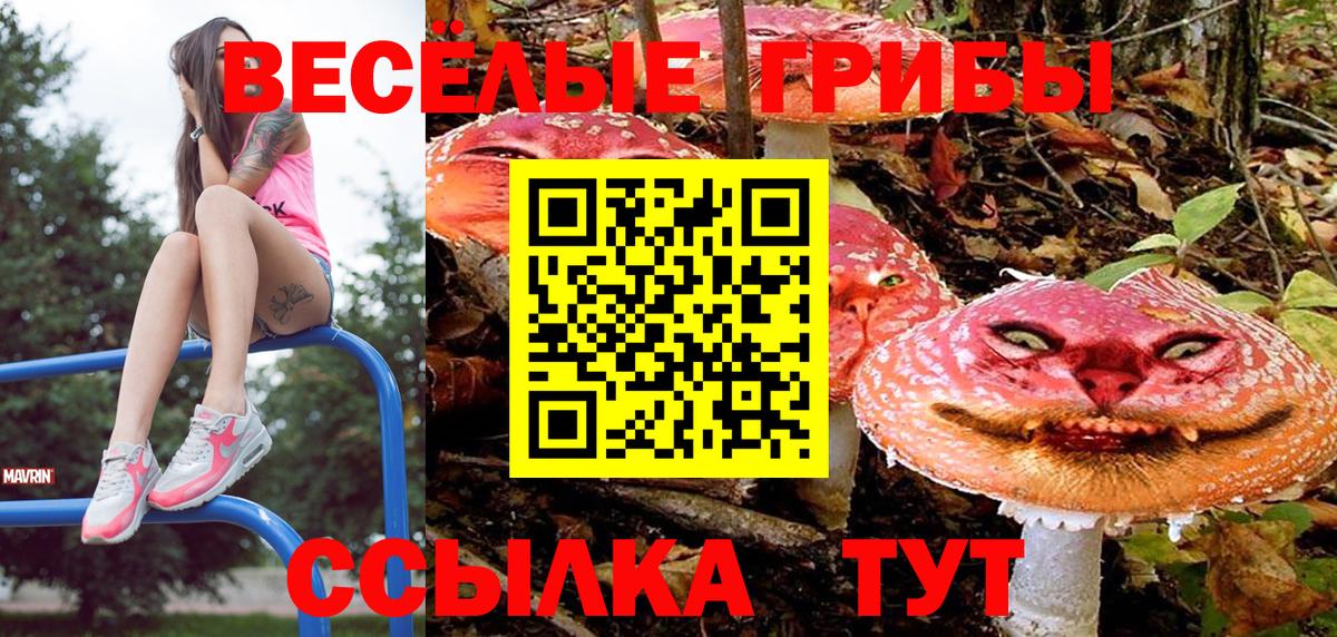Псилоцибиновые грибы Magic Shrooms Саянск