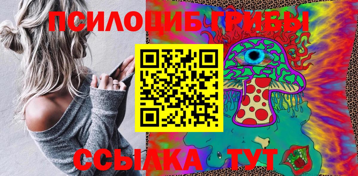 Псилоцибиновые грибы Psilocybine cubensis  Вход с VPN  Саянск 
